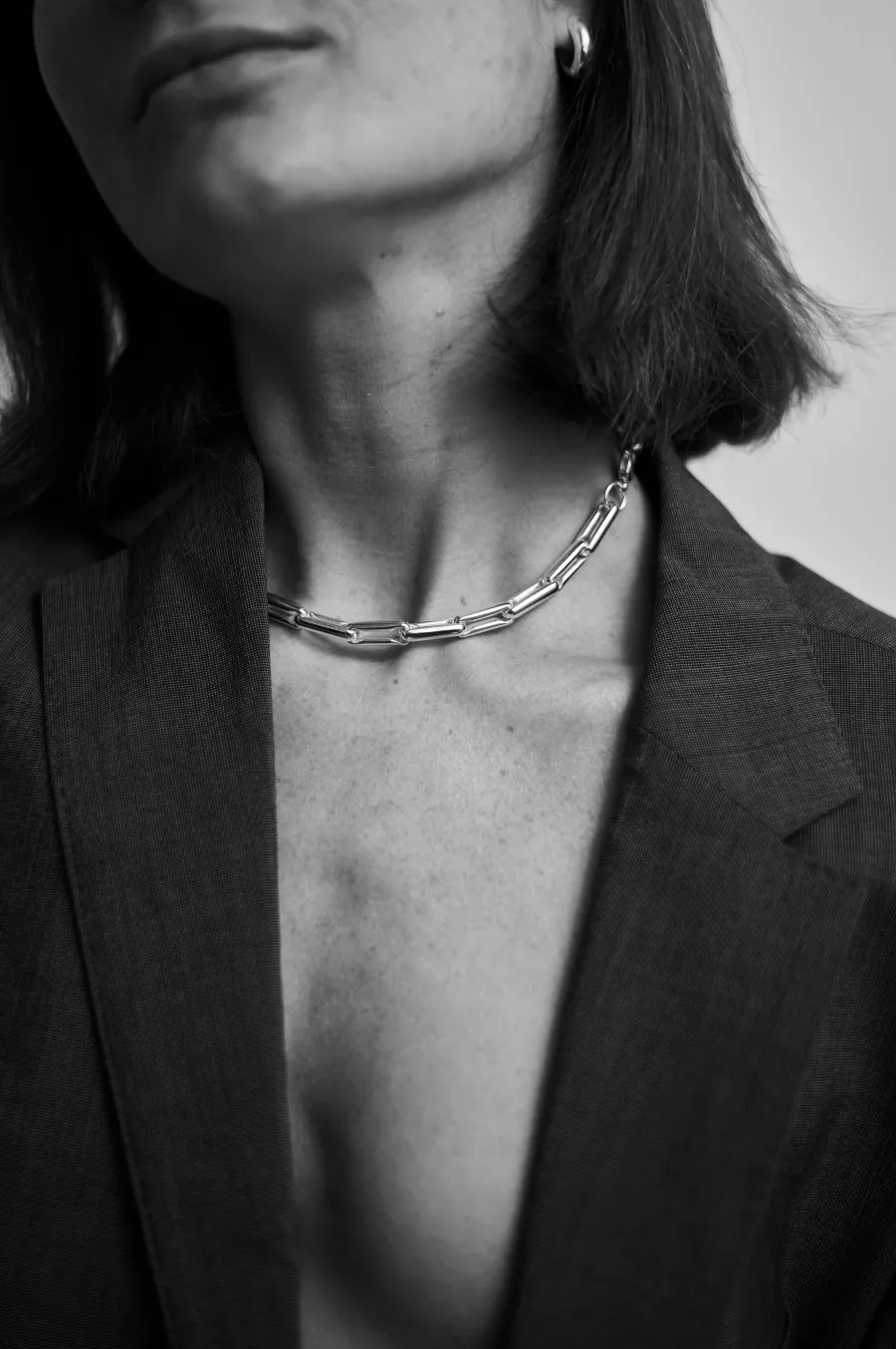 Model photograph 1