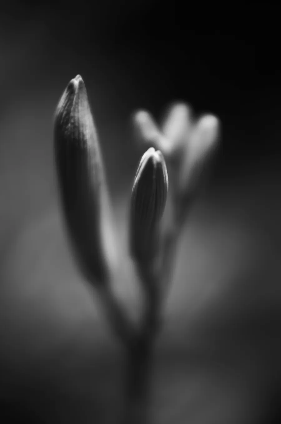 Experimental photograph 1