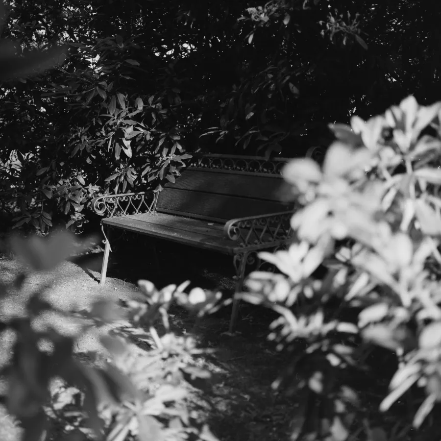Nature photograph 1