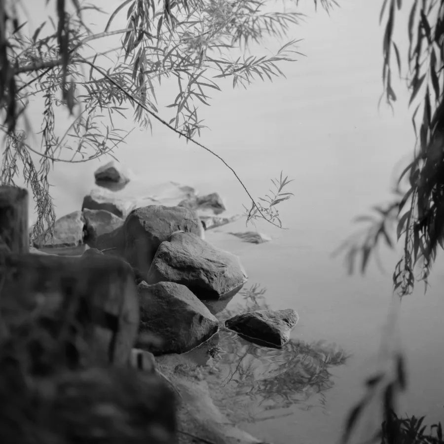 Nature photograph 2