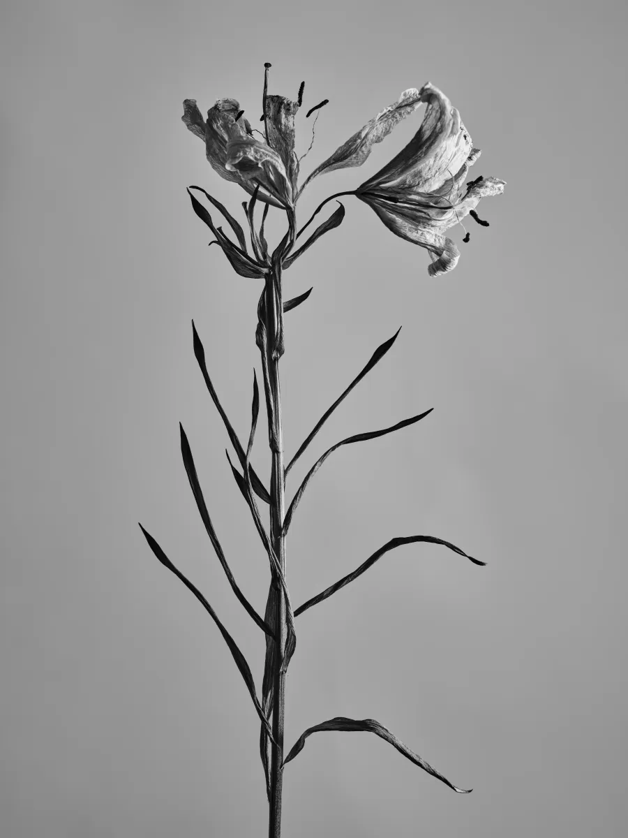 Experimental photograph 2