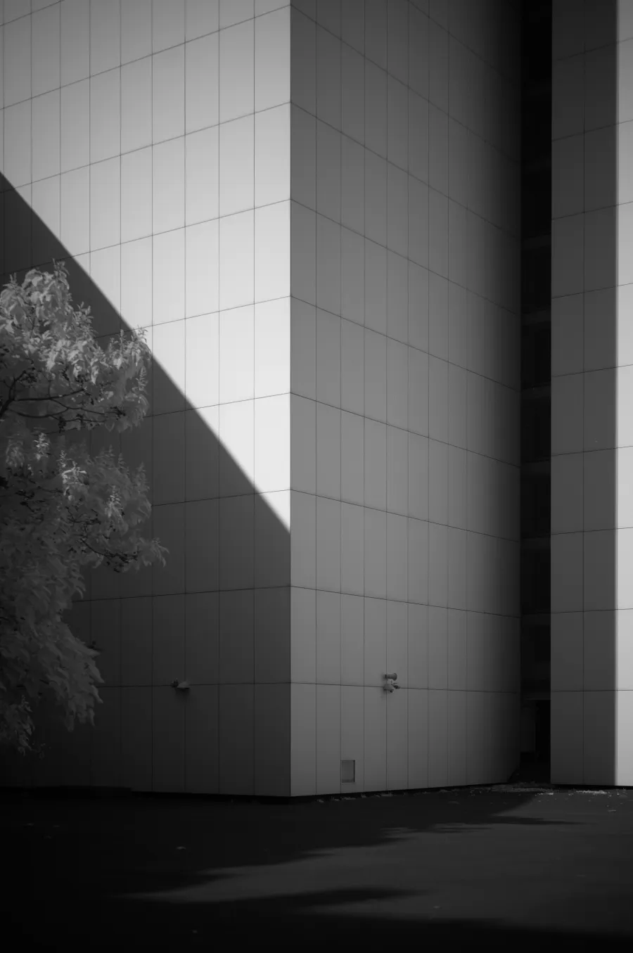 Architecture photograph 4