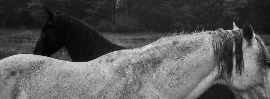 Nature photograph 3