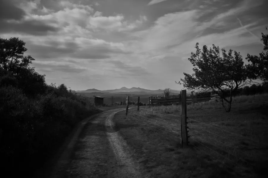 Nature photograph 8