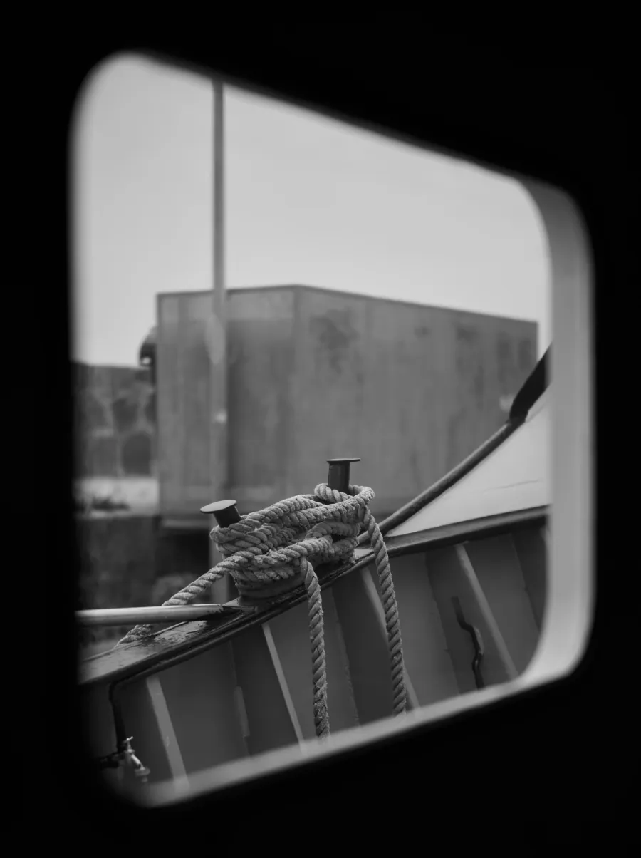Everyday photograph 11