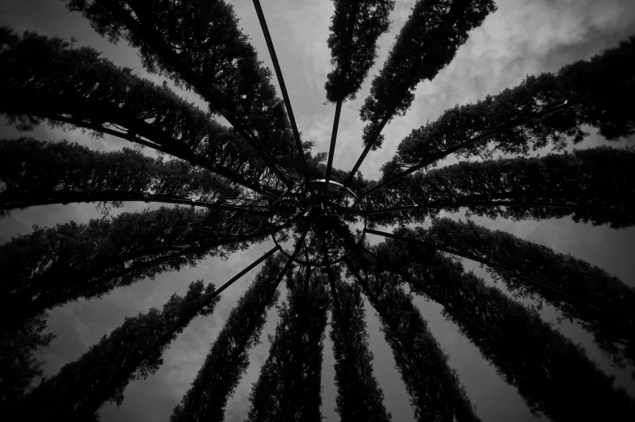 Everyday photograph 15