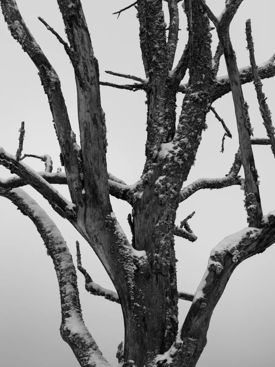 Nature photograph 10