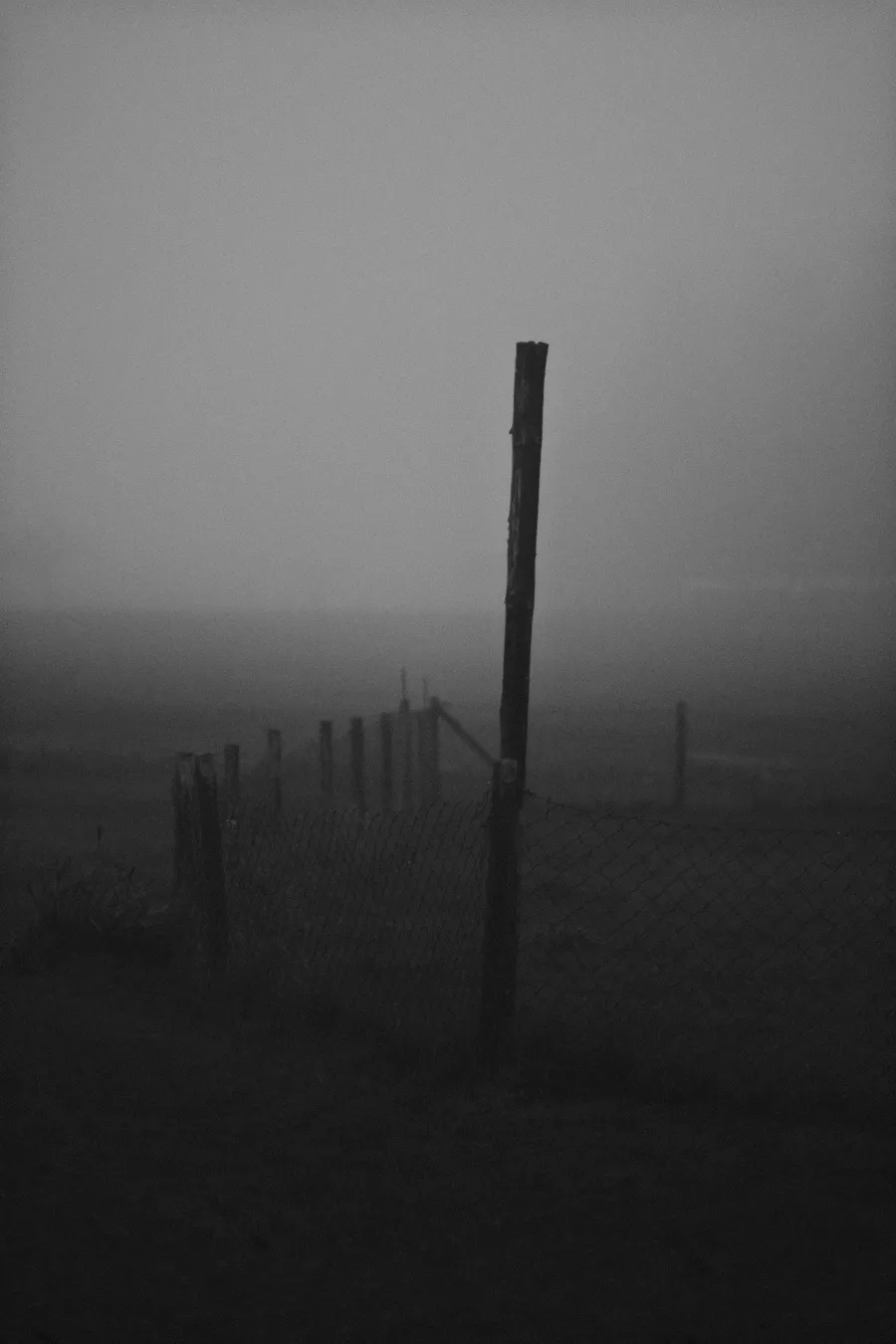 Nature photograph 11