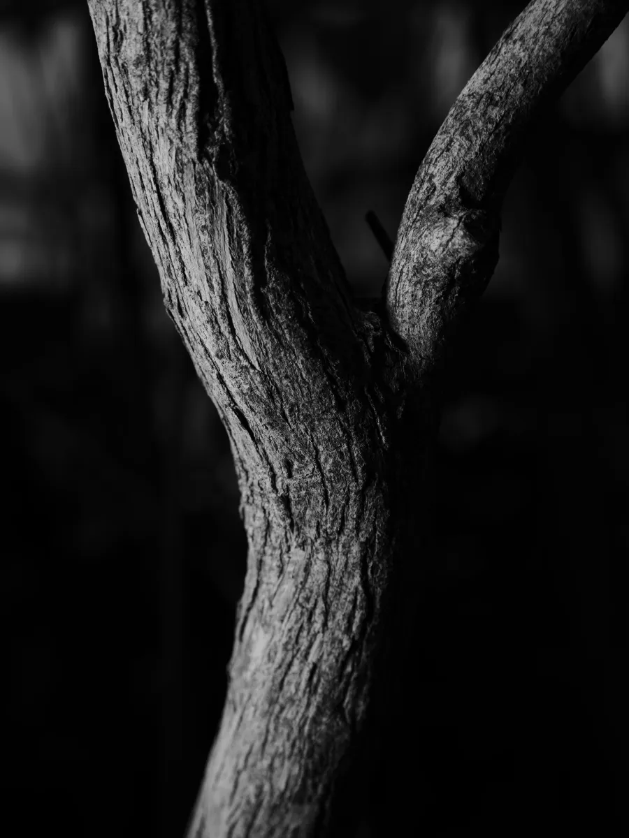 Experimental photograph 8