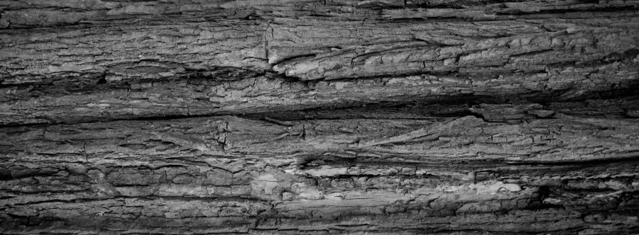 Experimental photograph 9