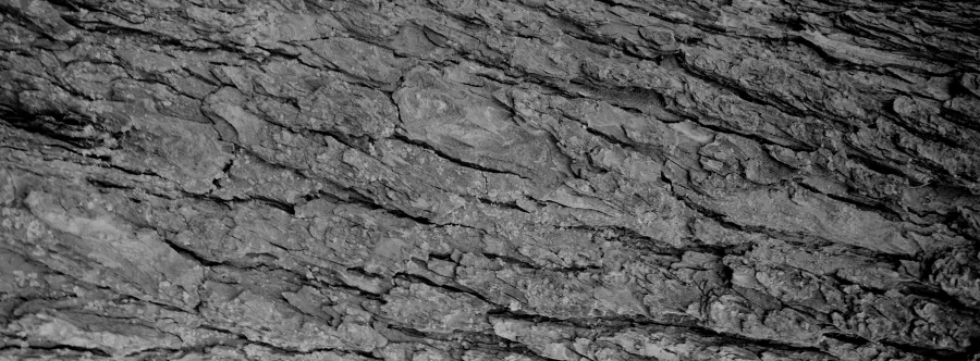 Experimental photograph 10