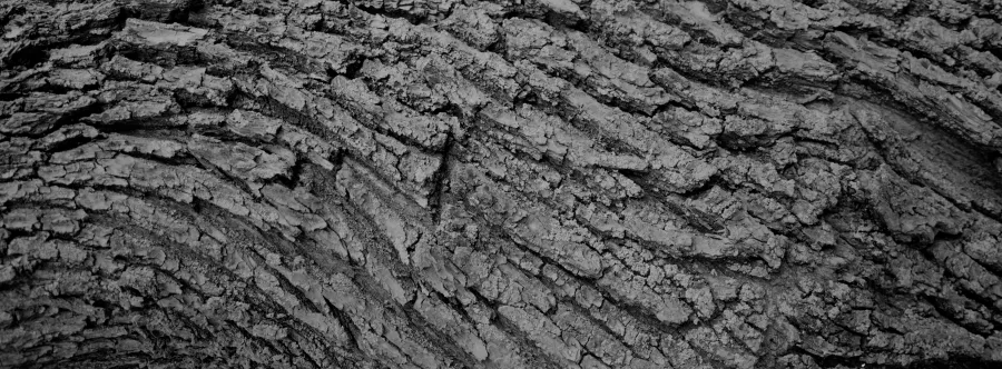 Experimental photograph 11