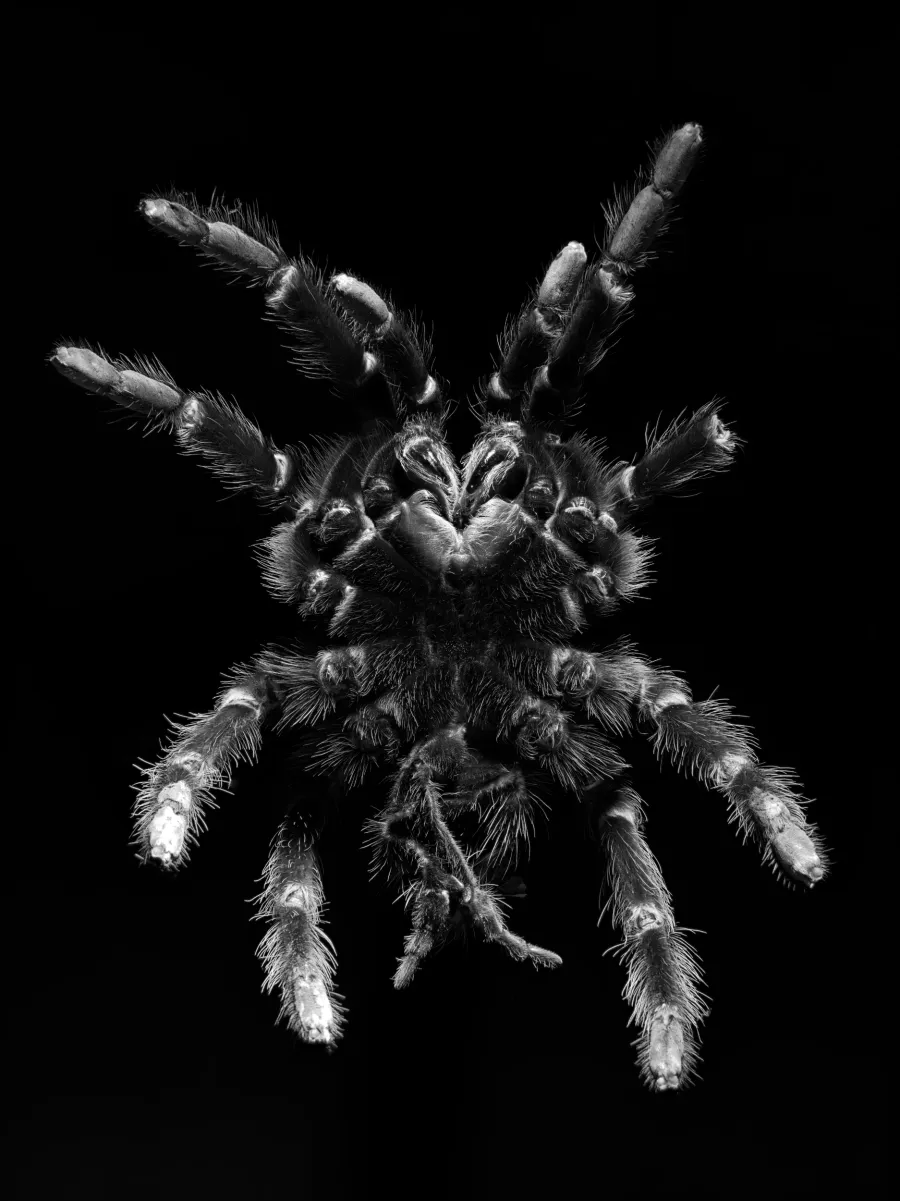 Experimental photograph 14